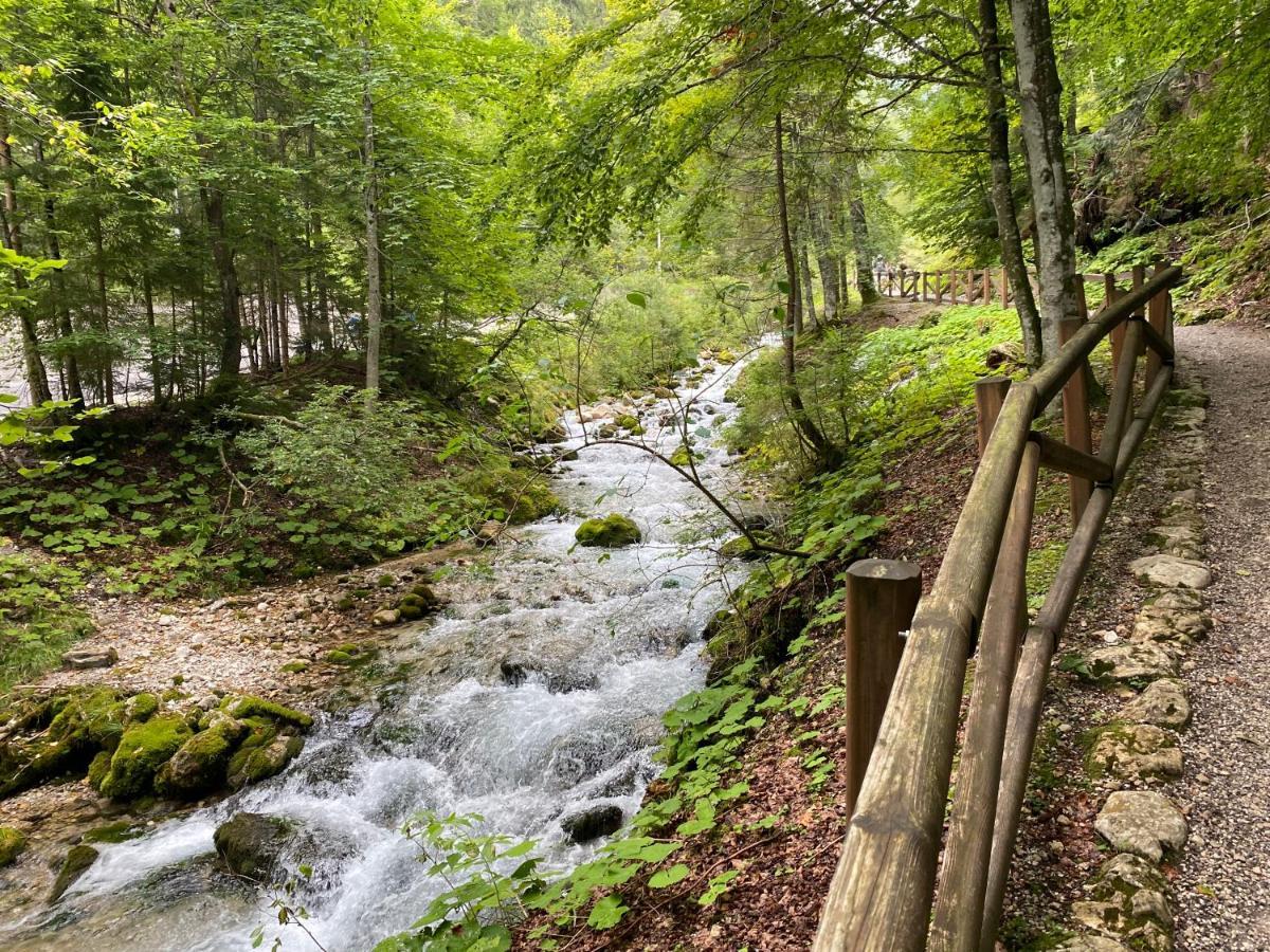 Guest House Vila Moj Mir Rateče المظهر الخارجي الصورة